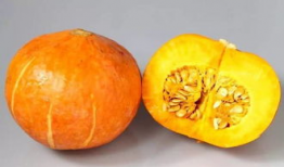 吃瓜百科.cc,吃瓜百科.cc带你领略明星幕后故事