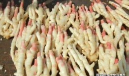 娱乐吃瓜君姜丝,揭秘姜丝背后的故事与魅力