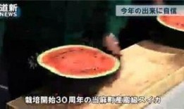 一起来吃瓜在哪玩,揭秘热门游戏聚集地