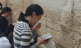 娱乐吃瓜君赵薇