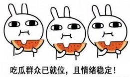 娱乐吃瓜酱晚安蠢蛋,揭秘娱乐圈的甜蜜与苦涩