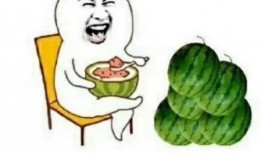 娱乐吃瓜喵喵,揭秘娱乐圈那些不为人知的幕后故事