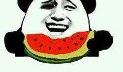 猪猪娱乐吃瓜,揭秘娱乐圈那些吃瓜背后的故事