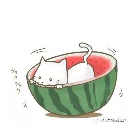 娱乐吃瓜酱的头像图片,揭秘娱乐圈幕后故事，带你领略明星们的真实生活