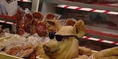 猪头娱乐圈吃瓜,揭秘明星幕后吃瓜大揭秘